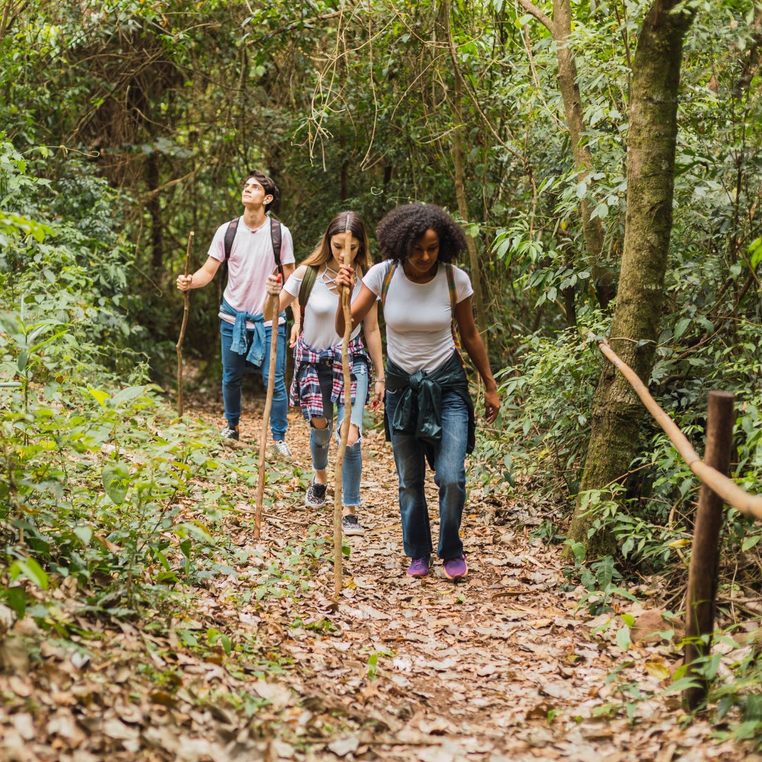 Diverse group of hikers trekking together through lush green forest trail