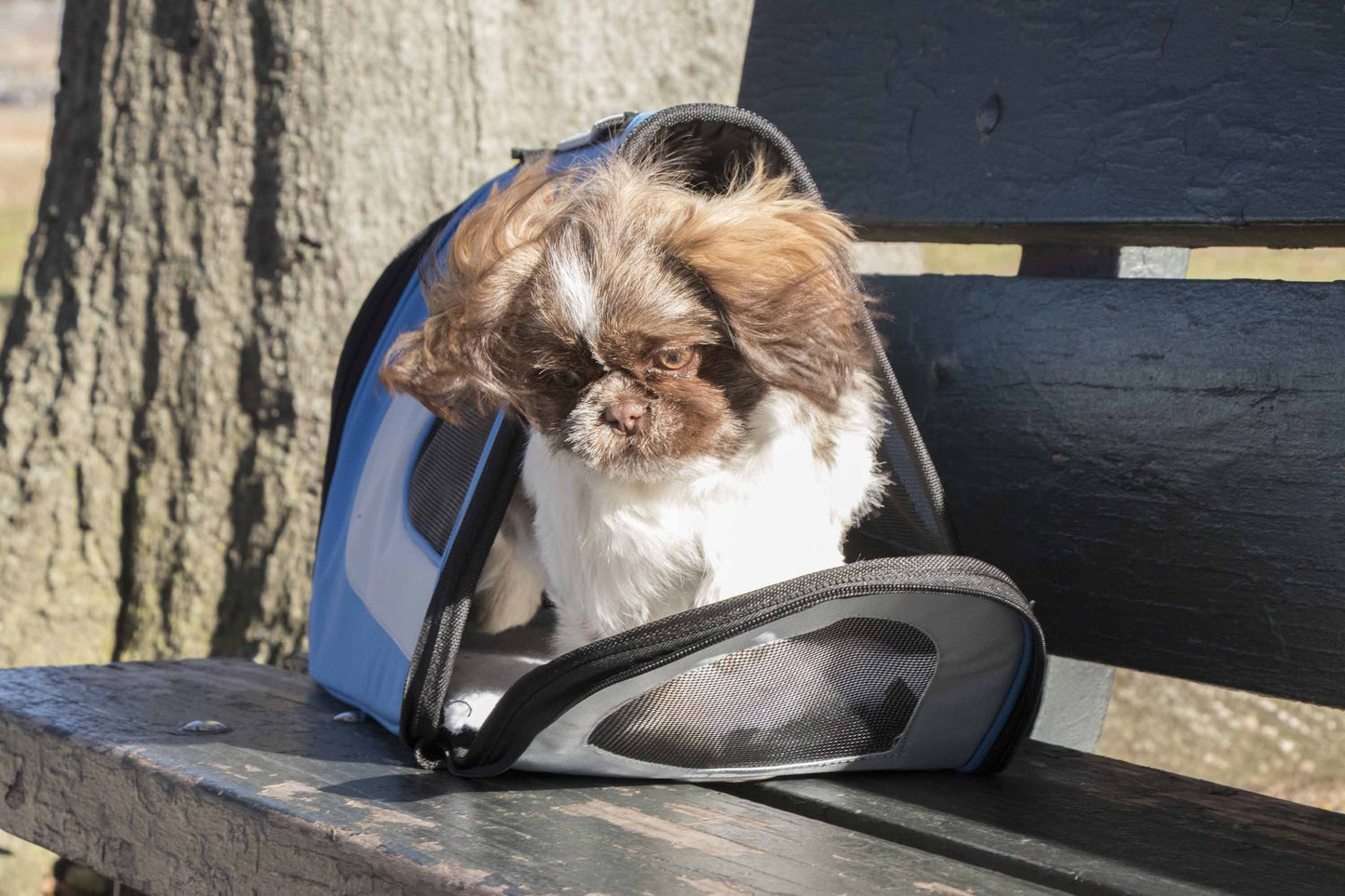 Sporty Mesh Airline-Approved Collapsible Travel Pet Carrier for Dogs