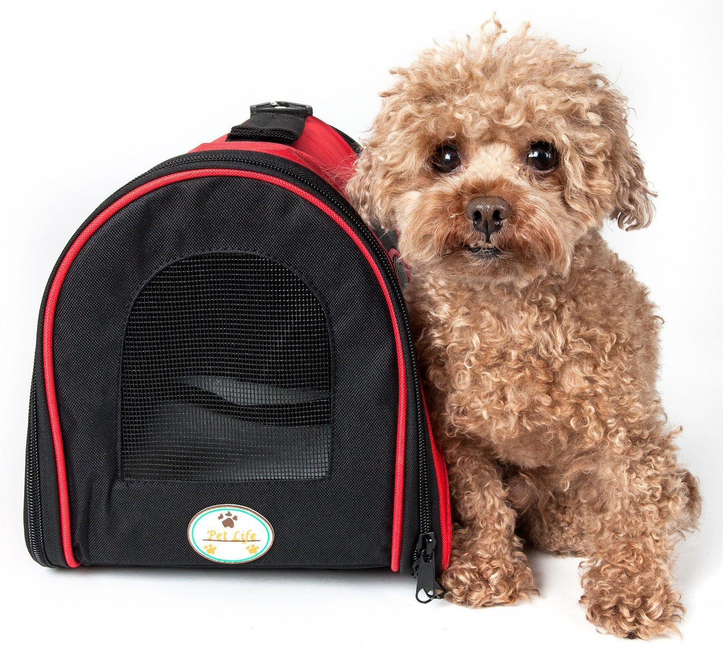 Sporty Mesh Airline-Approved Collapsible Travel Pet Carrier for Dogs