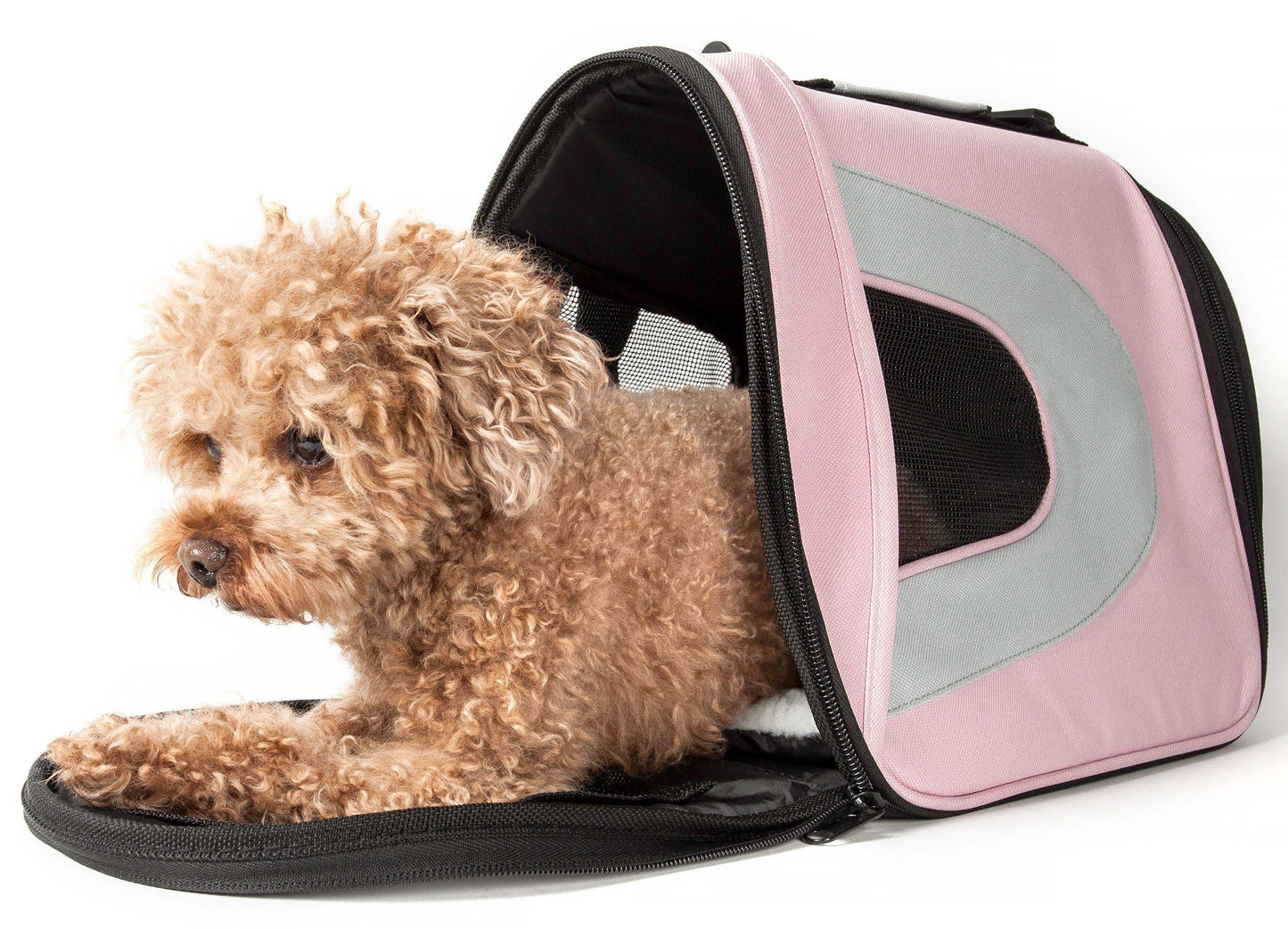 Sporty Mesh Airline-Approved Collapsible Travel Pet Carrier for Dogs