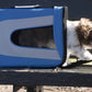 Sporty Mesh Airline-Approved Collapsible Travel Pet Carrier for Dogs