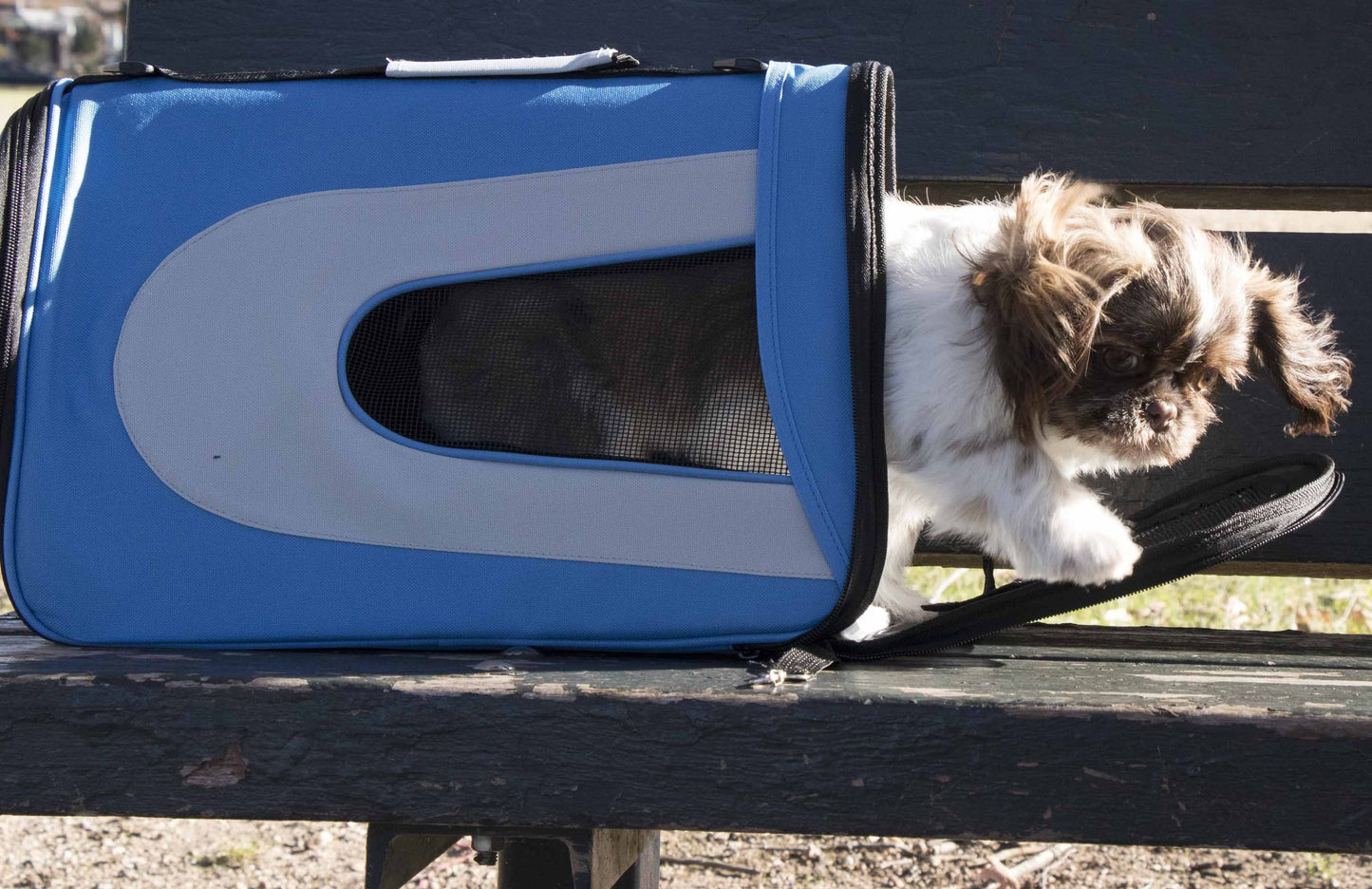 Sporty Mesh Airline-Approved Collapsible Travel Pet Carrier for Dogs