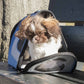 Sporty Mesh Airline-Approved Collapsible Travel Pet Carrier for Dogs