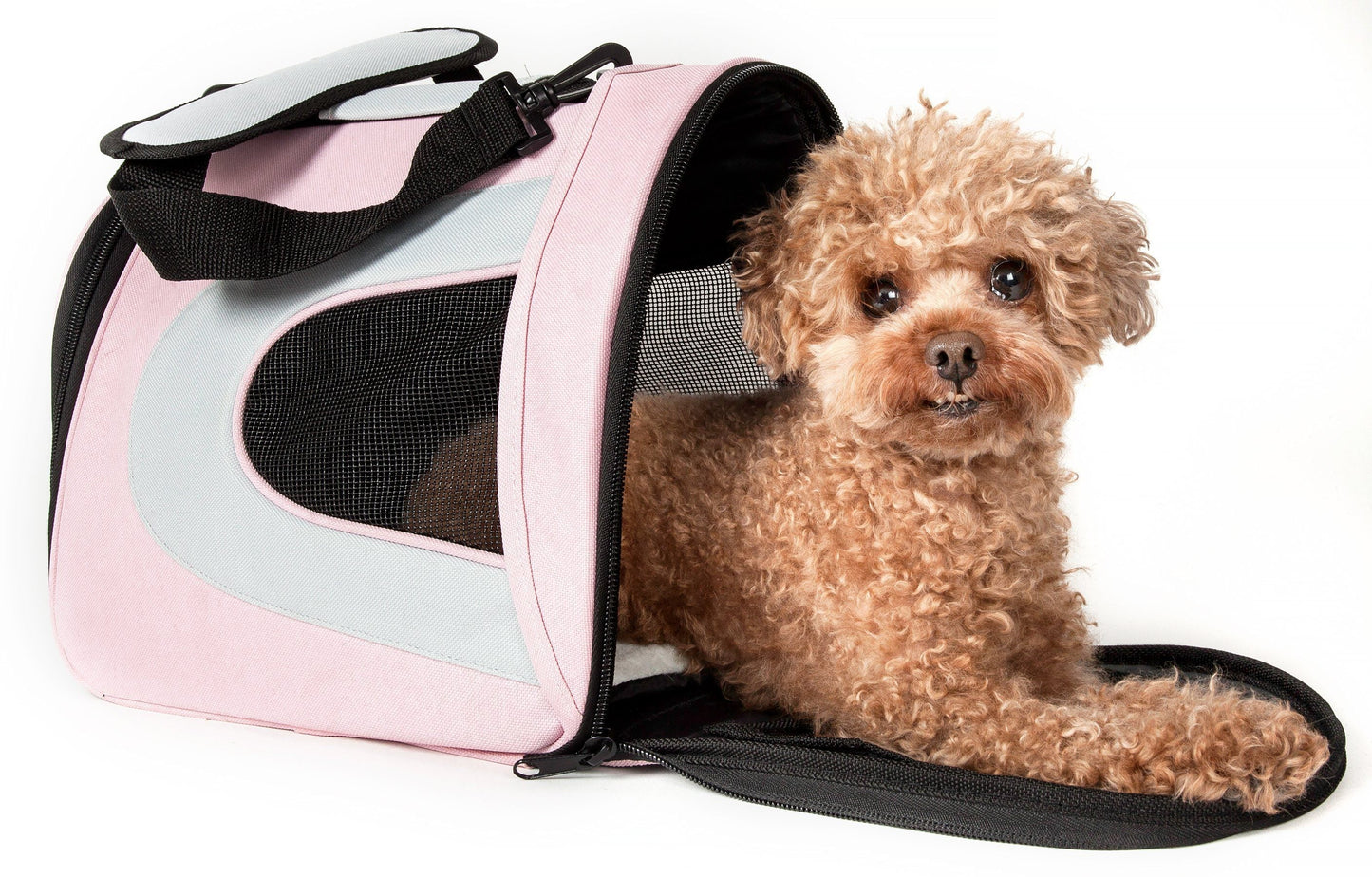 Sporty Mesh Airline-Approved Collapsible Travel Pet Carrier for Dogs