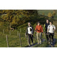 Official Casual Trek Hiking Poles with Flip Locks and Travel Bag