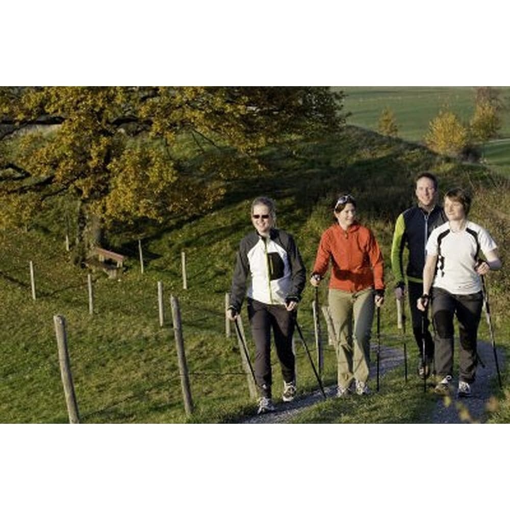 Official Casual Trek Hiking Poles with Flip Locks and Travel Bag