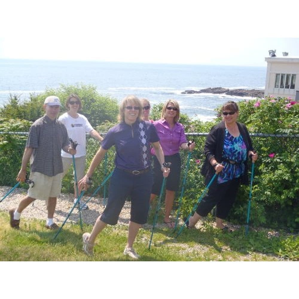 Official Casual Trek Hiking Poles with Flip Locks and Travel Bag